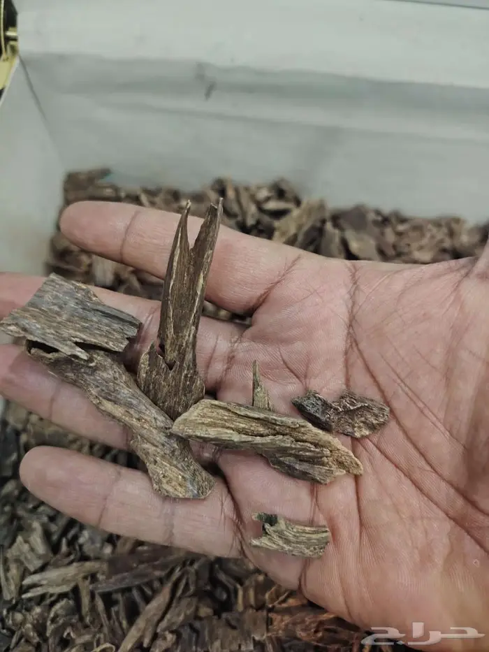 عود هندي موري فاخر 1