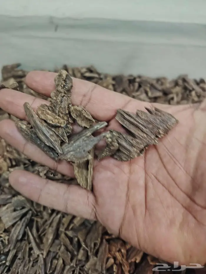 عود هندي موري فاخر 0