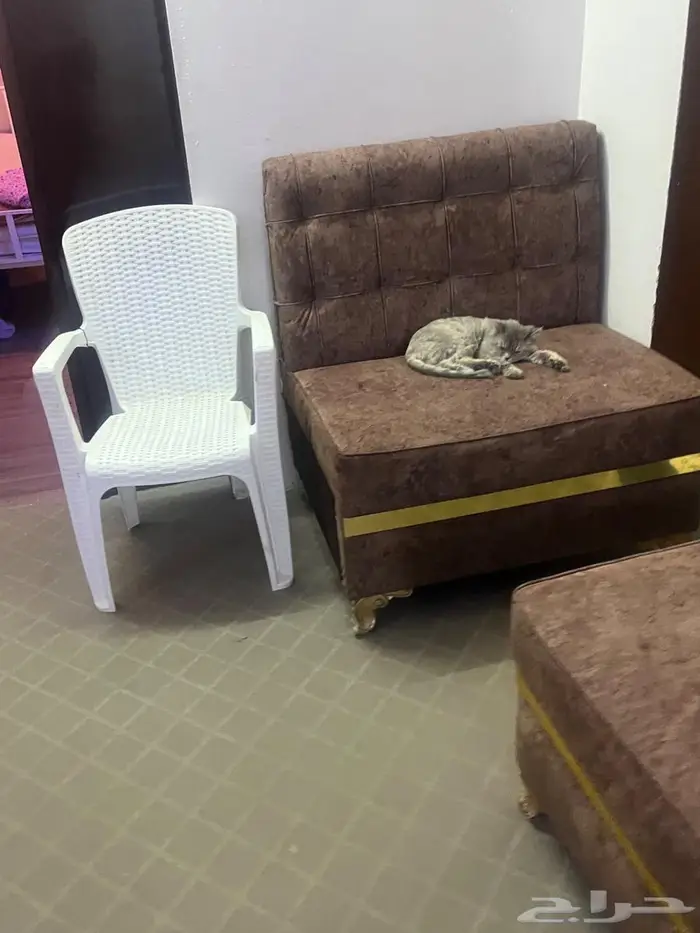 اثاث مستعمل ثلاجات و فريزر و كنب ودولاب ملابس 2