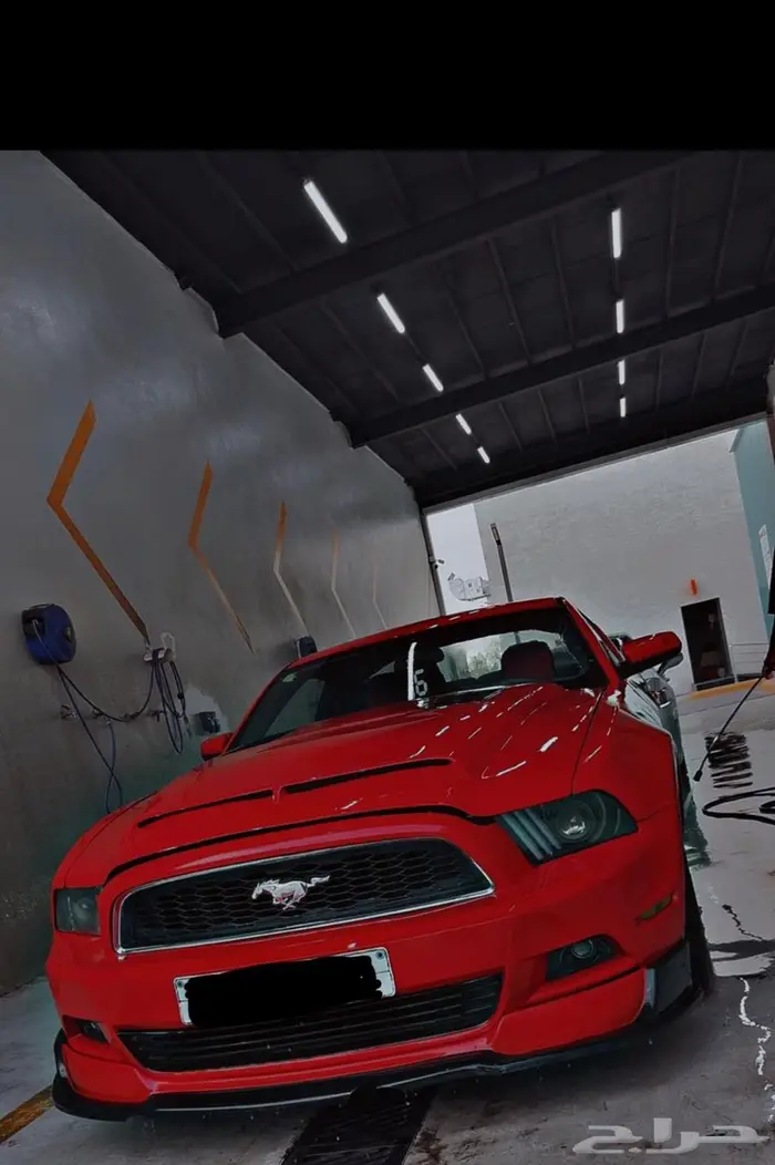 موستنج 2014 ممشى 150 2