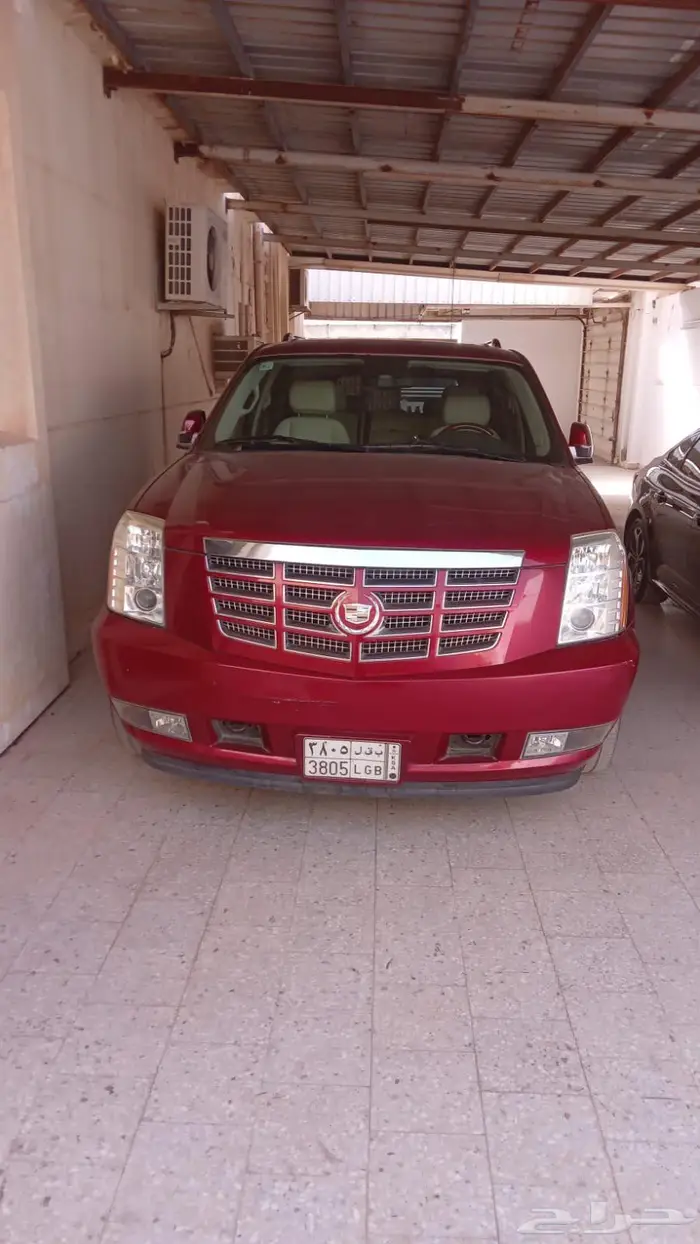 كدلك اسكالد طويل 2011 0