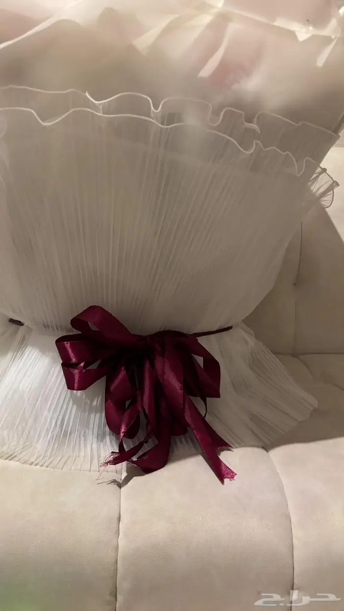 ورد احمر 150 ورده تقريبا 1