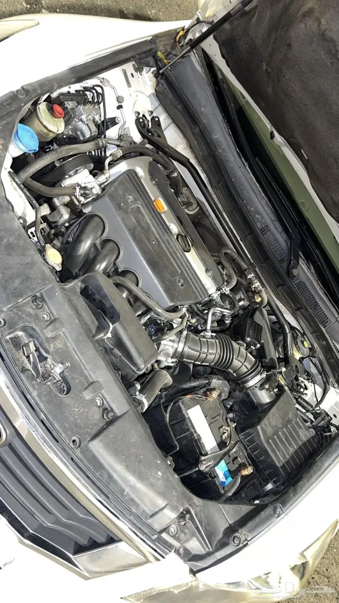 للبيع اكورد 2008 17