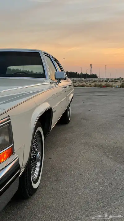 للبيع كدلك بروقهام فليتوويد دي إلنجانس 1981 index