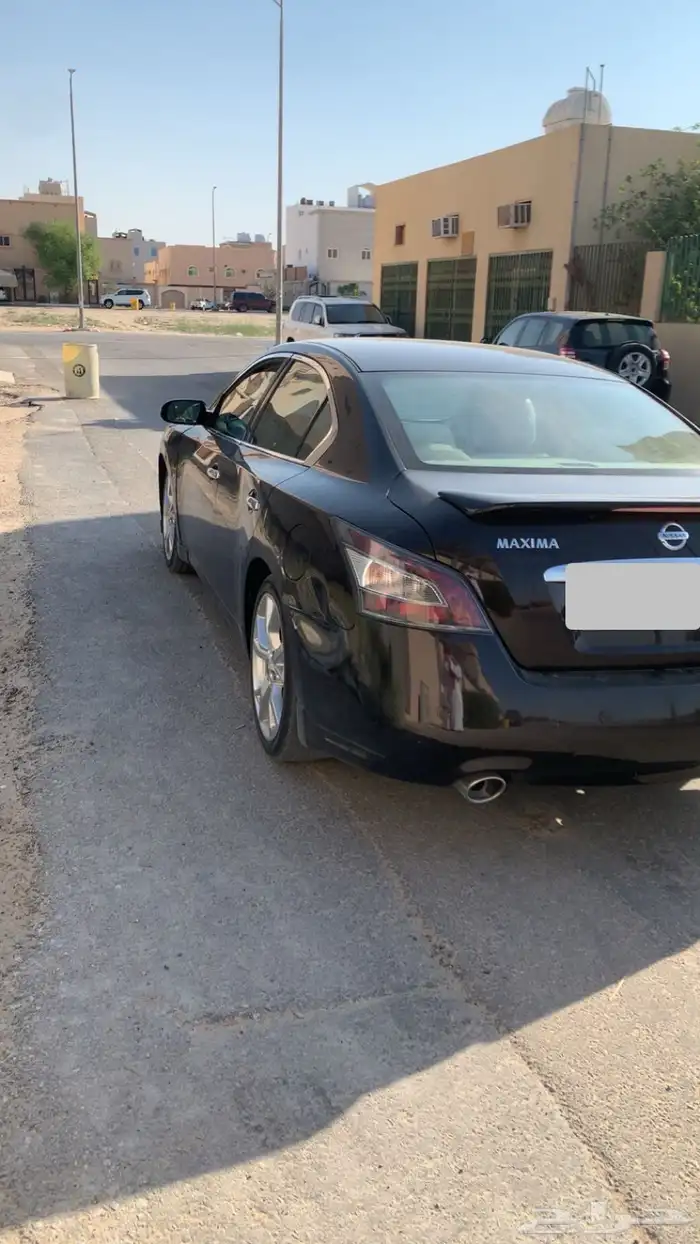 مكسيما 2013 وكالة 2