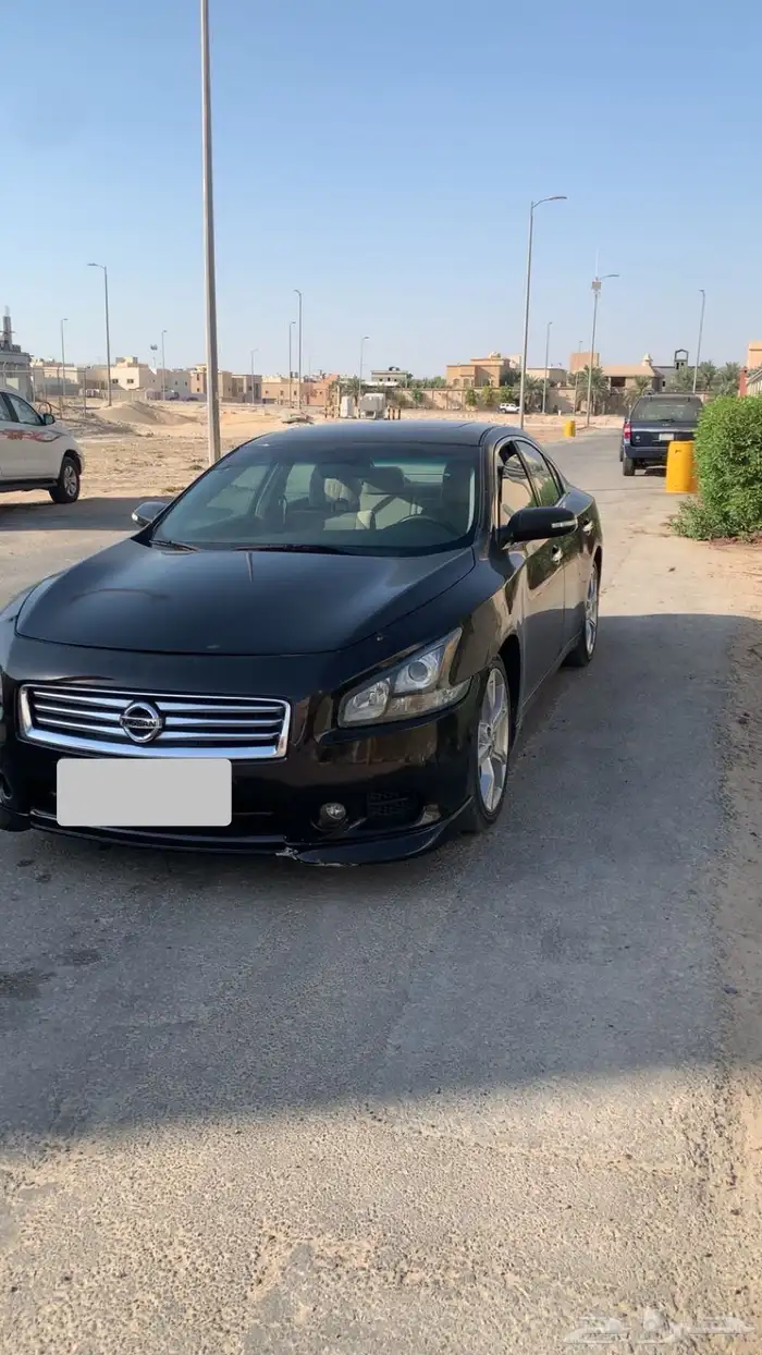 مكسيما 2013 وكالة 0