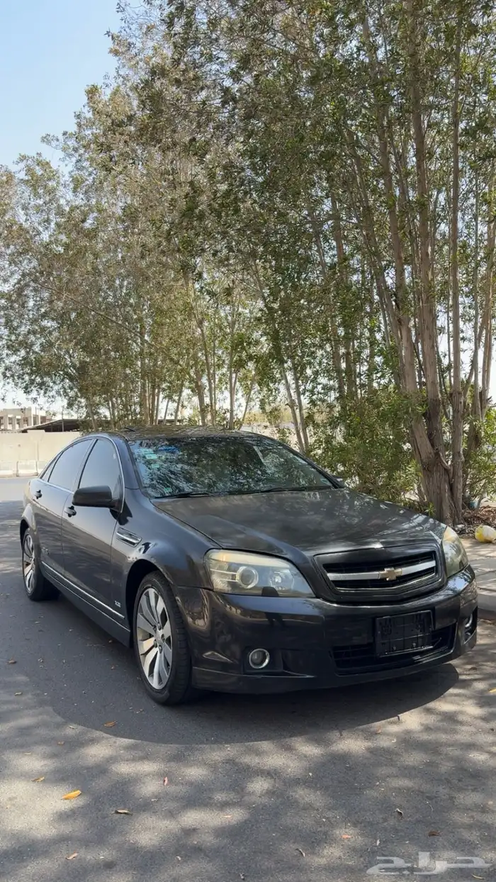 كابرس 2011 اس اس 15