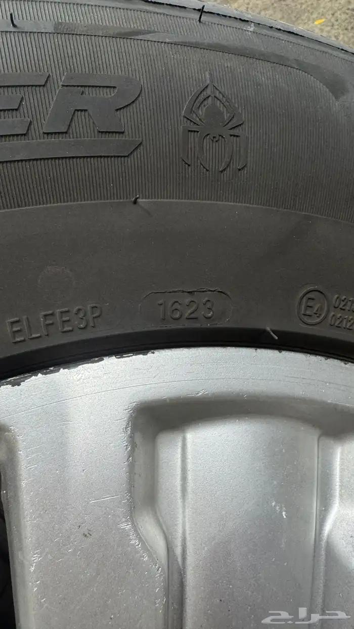 جنوط فتك سوبر سفاري 2019 2