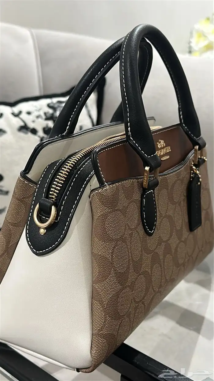 شنطة نسائية 1