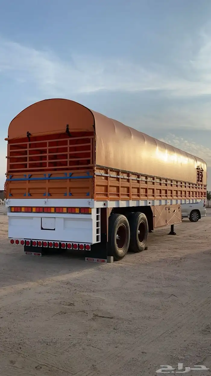 للبيع تيادر جوانب قواعد و لعبات واسعار مناسبة جدا 4