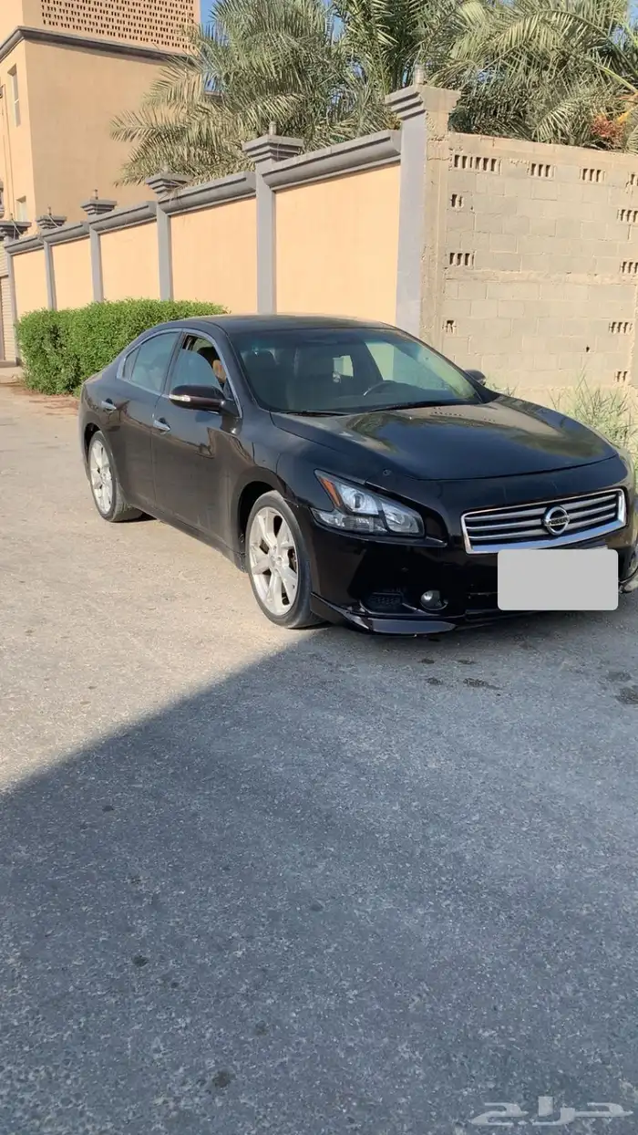 مكسيما 2013 وكالة 1