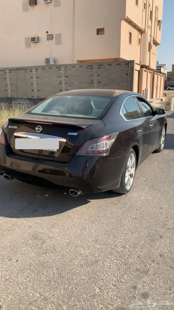 مكسيما 2013 وكالة 3