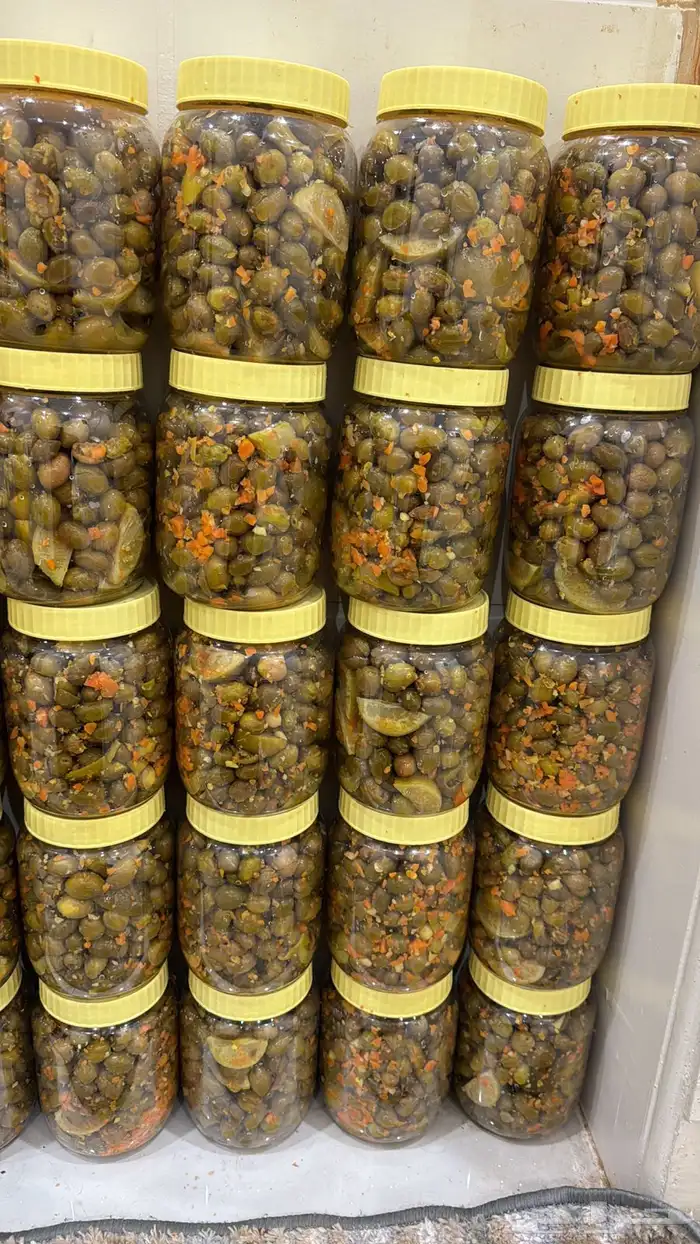 زيتون الجوف 1