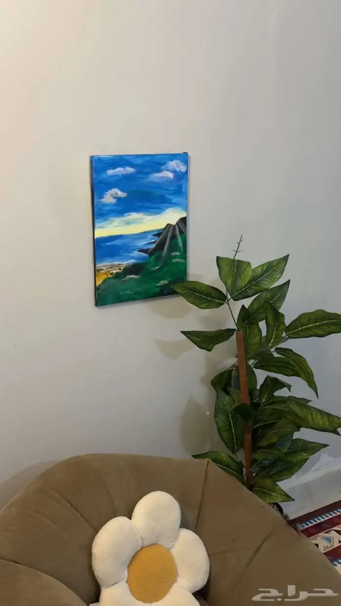 جازان ابو عريش 0