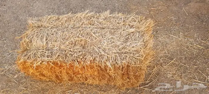 علف (تبن قمح) 3