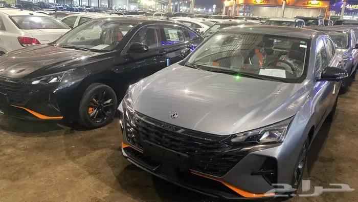 دونج فينج شاين E2 موديل 2026 نص فل اقوي الاسعار جميع الالوان 14