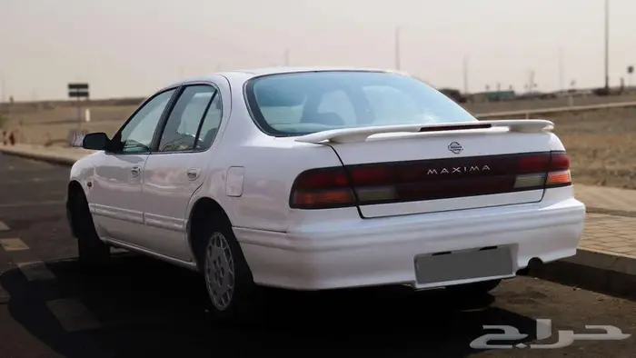 مكسيما 95 لون ابيض 6