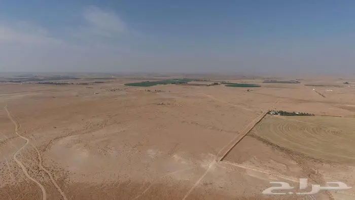 ارض زراعية عليها تصريح دواجن لاحم انشائي 3