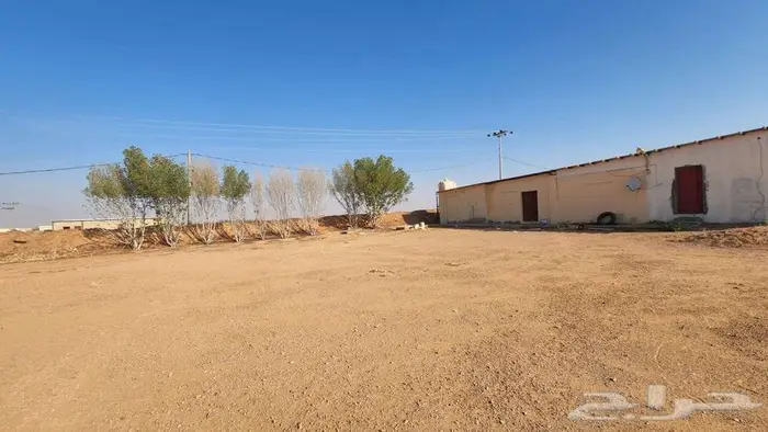 مزرعة للبيع بحائل في بقعاء الشرقية 1