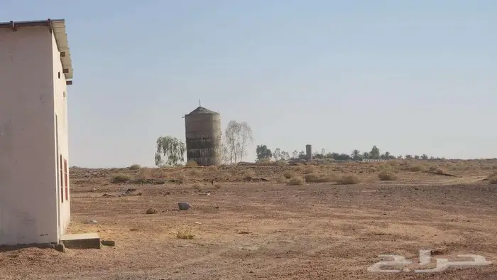 مزرعة للبيع بحائل في بقعاء الشرقية 2