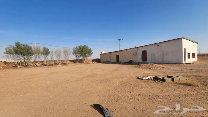 مزرعة للبيع بحائل في بقعاء الشرقية 3