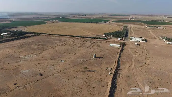 مزرعة للبيع بحائل في بقعاء الشرقية 4