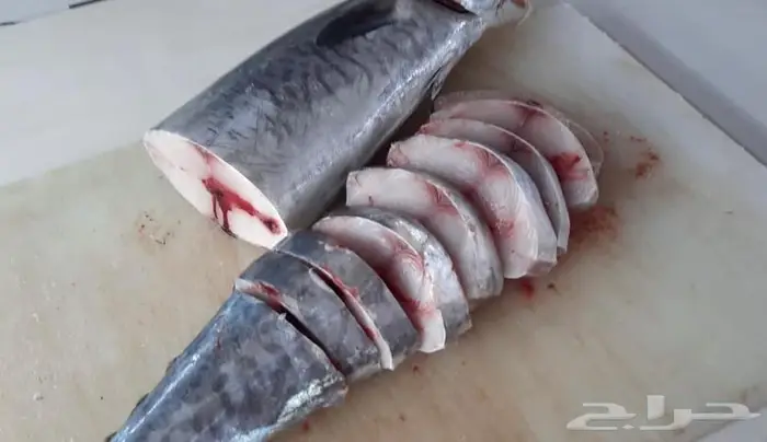 اسماك البرك وعمق توصيل أبهاء المطاعم والخميس ومحايل 0