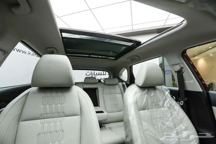 سيلتوس نص فل 2025 8