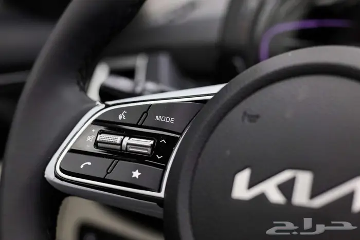 سيلتوس نص فل 2025 13