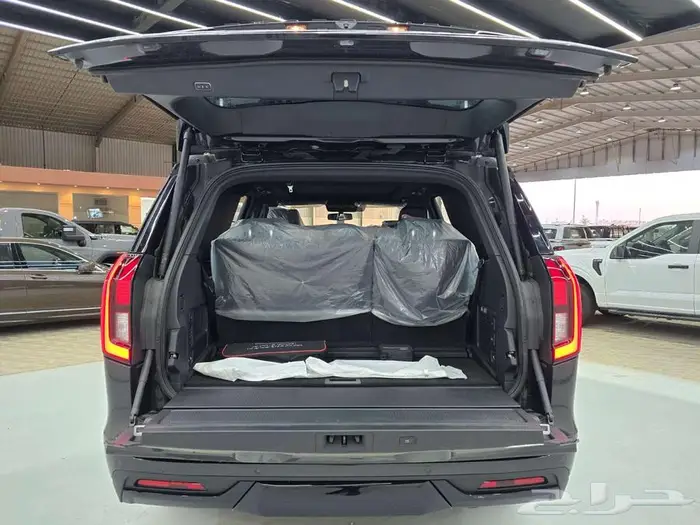 فورد اكسبيدشن بلاتنيوم ستيلث 2025 18