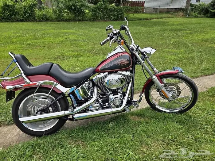 Harley softail custom 2007 0