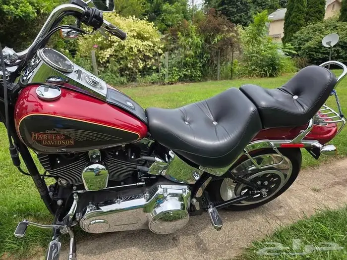 Harley softail custom 2007 1