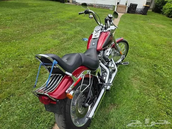 Harley softail custom 2007 4