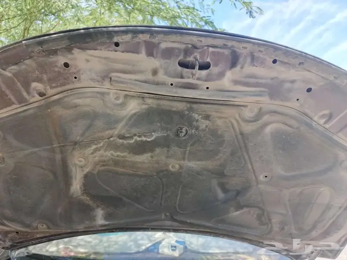 كيا سيراتو 2011 16