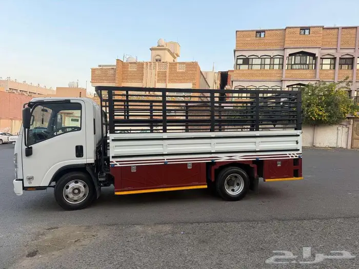 دينا نظيفه للبيع 2024 0