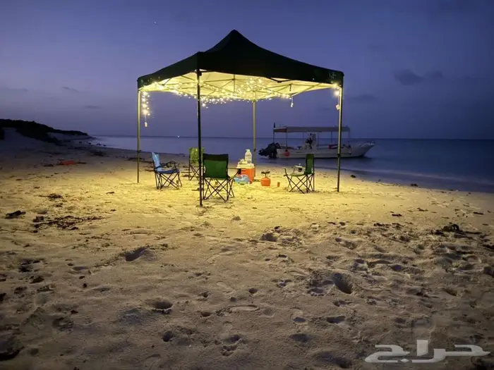 رحلات بحرية (صيد - زيارة جزيرة ماركا) عوائل وعزاب 2