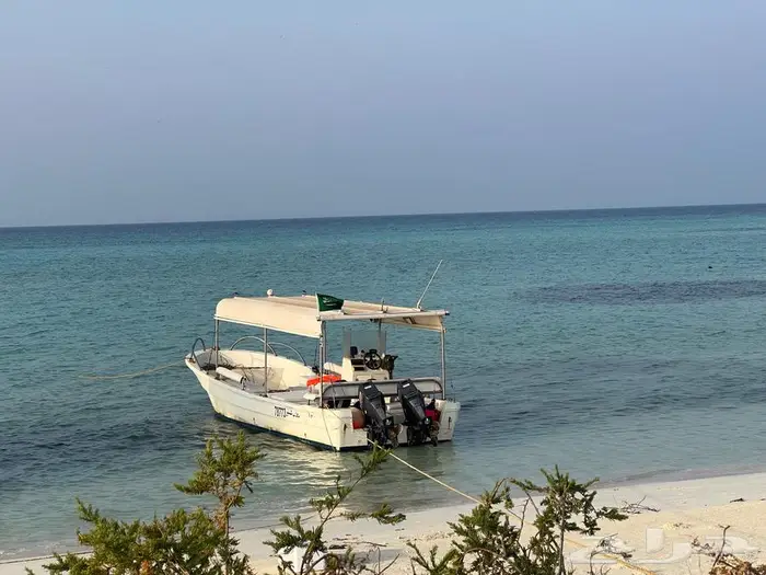 رحلات بحرية (صيد - زيارة جزيرة ماركا) عوائل وعزاب 7