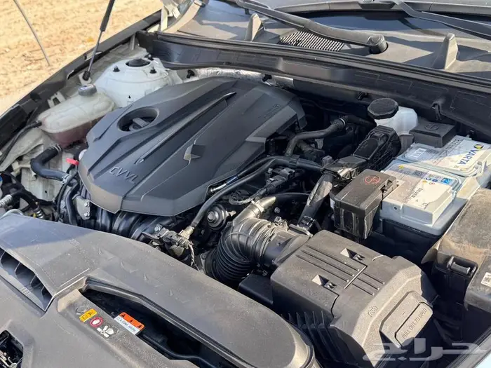 سوناتا 2021 فل الفل 29