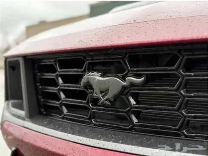 Dark Horse 2025 اصفار 8