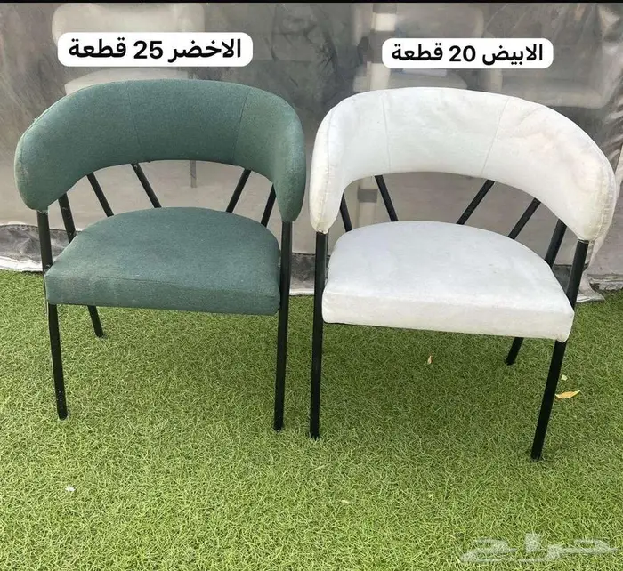 الشرايع الخضرا 11