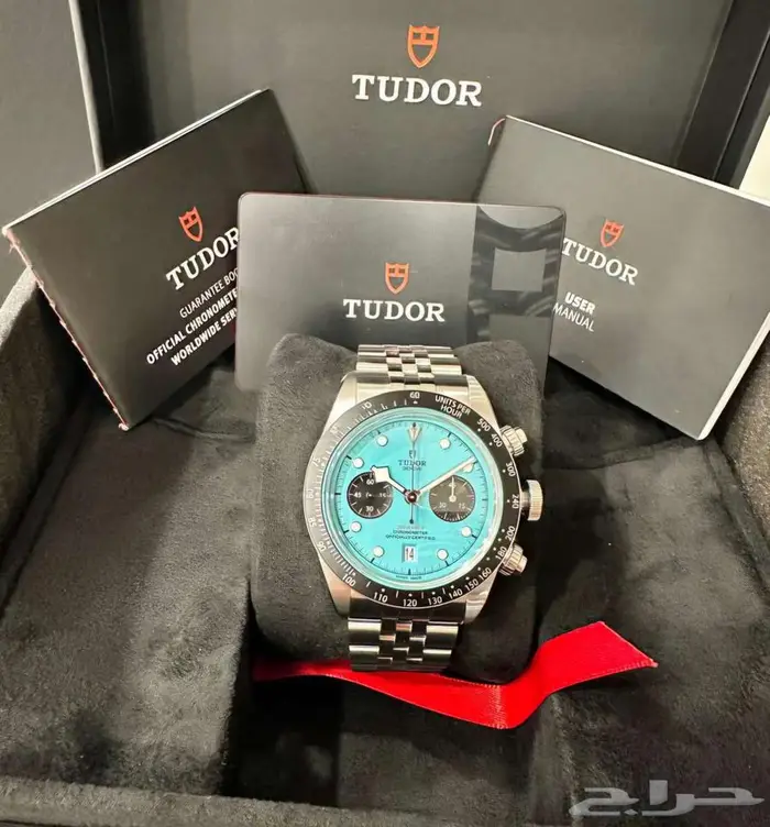 تيودور فلامينغو - Tudor Flamingo 0