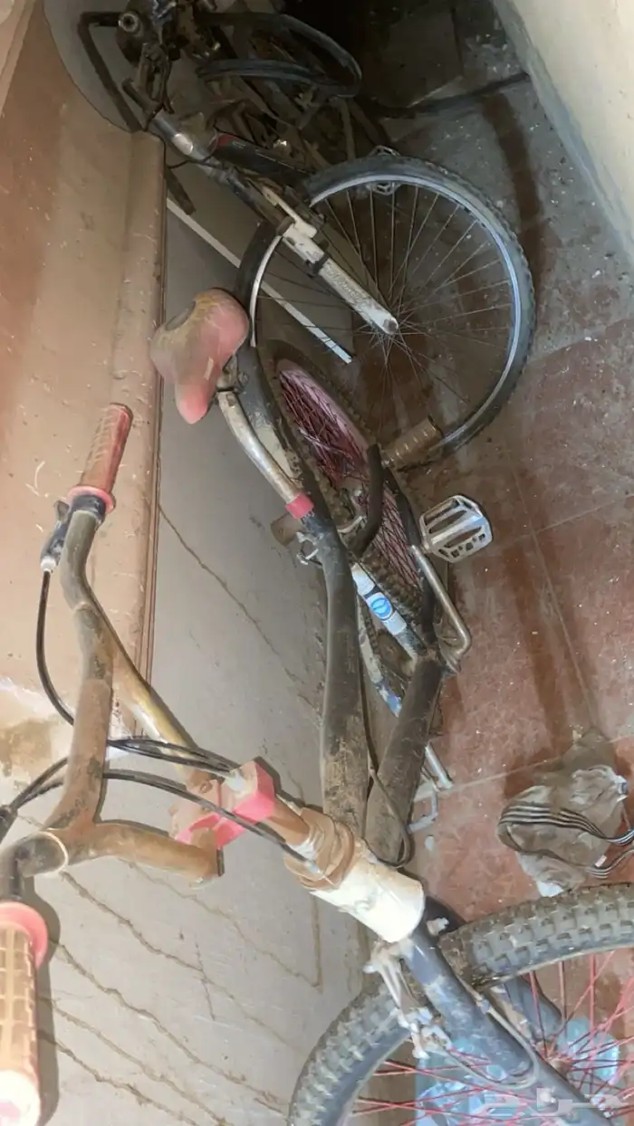 سيكل مسطره وكوبره 1