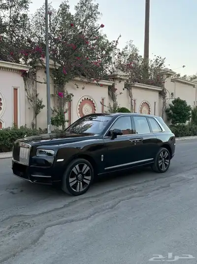 روز كولينان سلفر باج فل كامل 2019 ناغي index