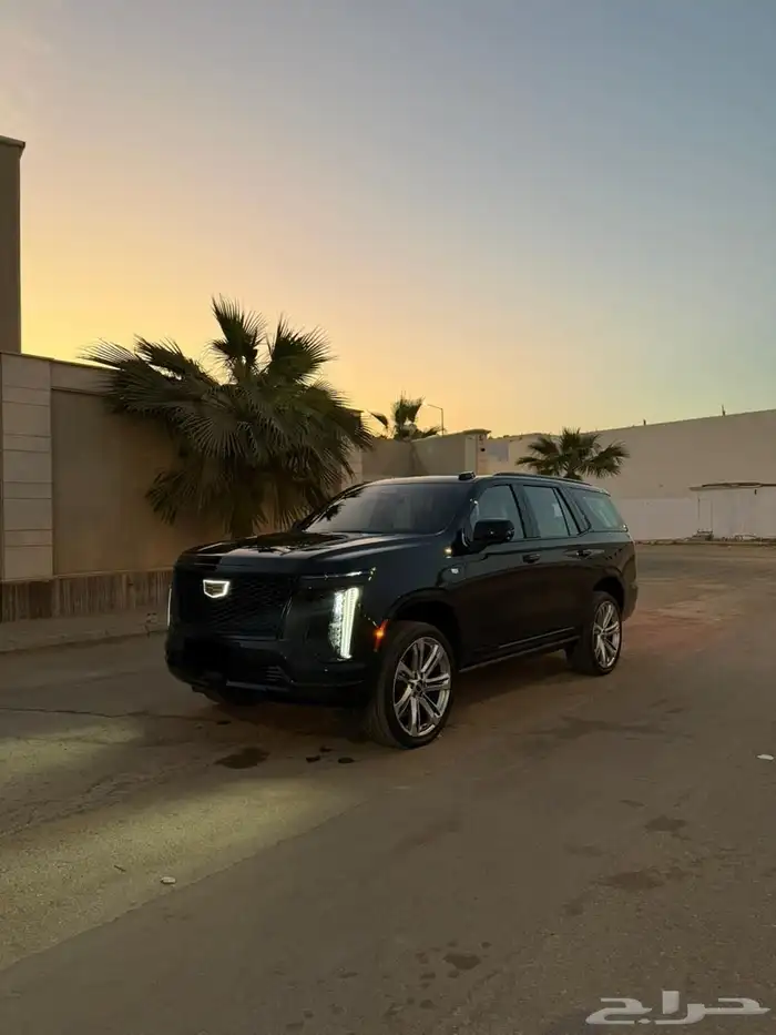 كدلك اسكاليد 2025 الجميح 2