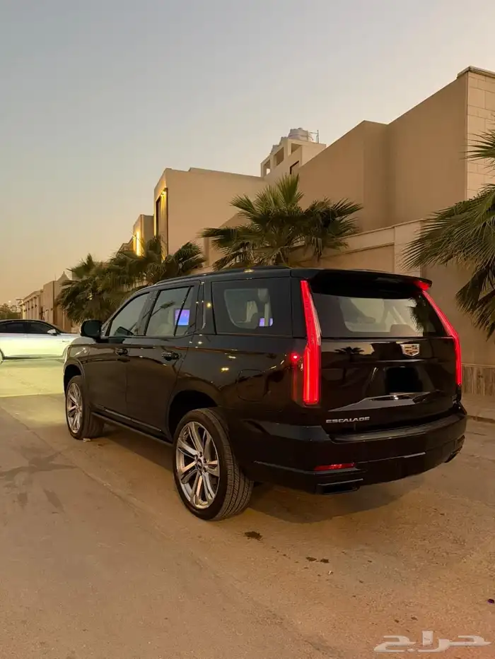 كدلك اسكاليد 2025 الجميح 3