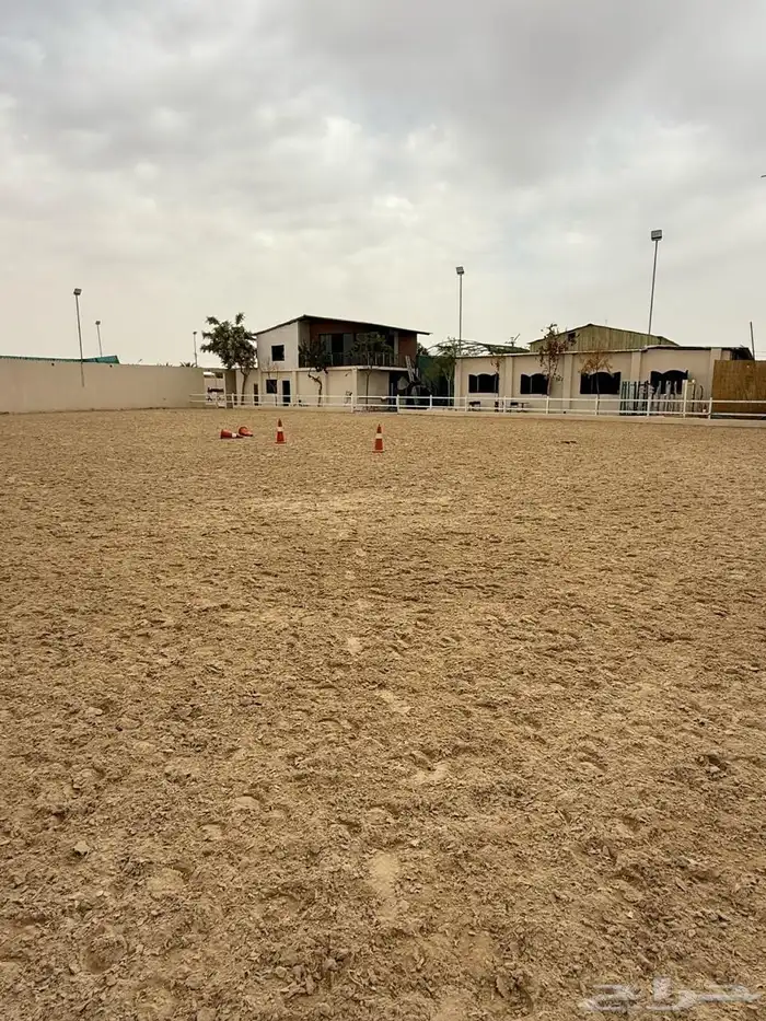 ايواء و تدريب ركوب الخيل العمارية 3