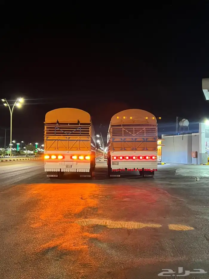 للبيع تيادر جوانب قواعد و لعبات واسعار مناسبة جدا 2