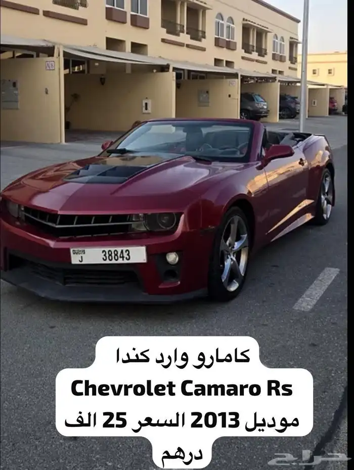 موستنق موستنج 2013 7