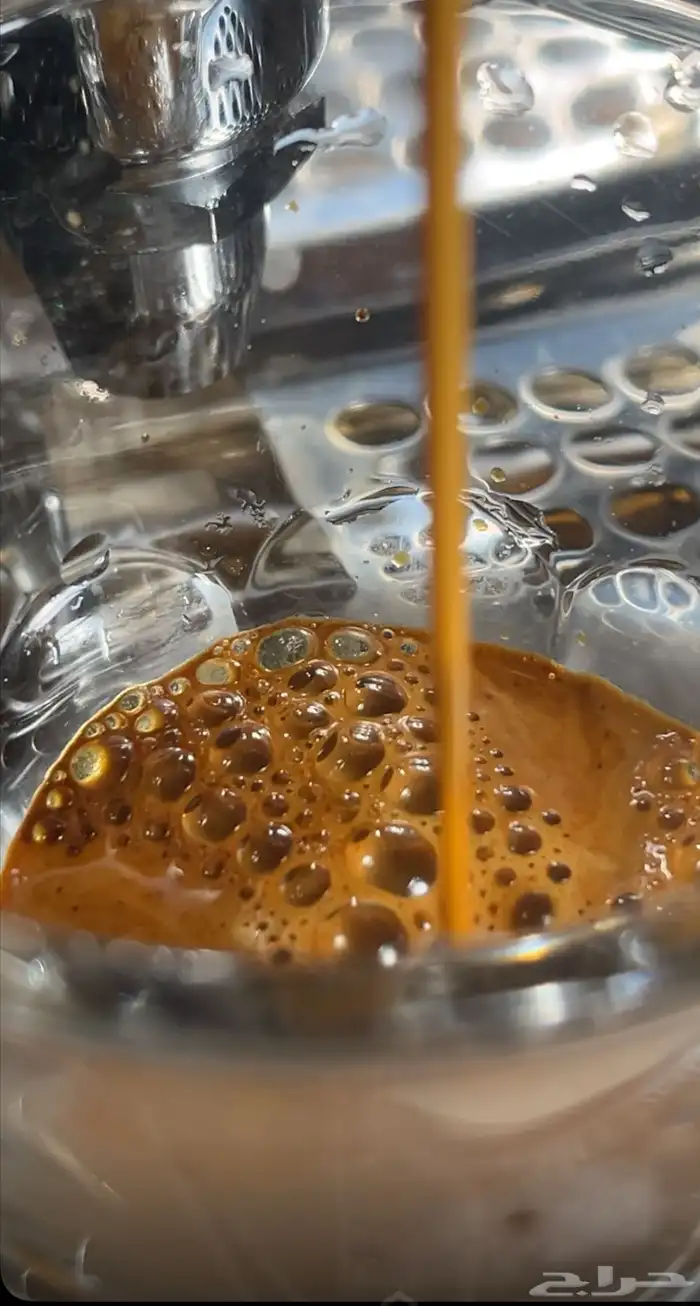 دورة لاتية ارت عن بعد للجميع وسعر مغرض 0