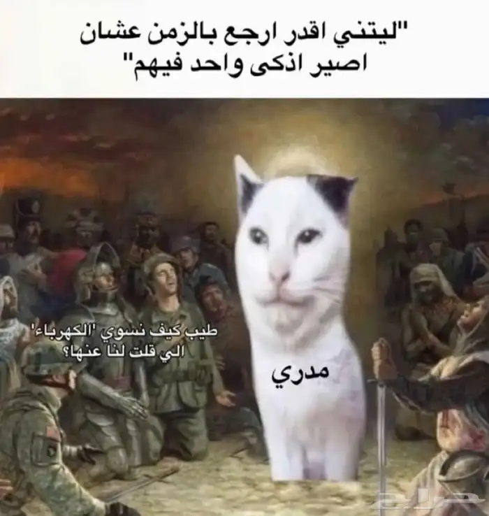 شاشة العاب بينكيو 144 فريم وتحديث 1 ام اس 8